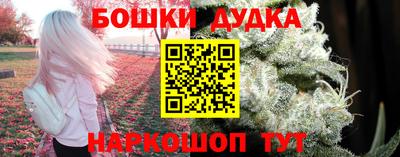 стаф Тула