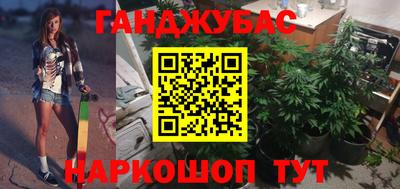 стаф Тула