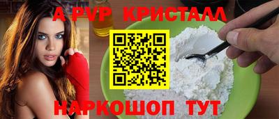 стаф Тула