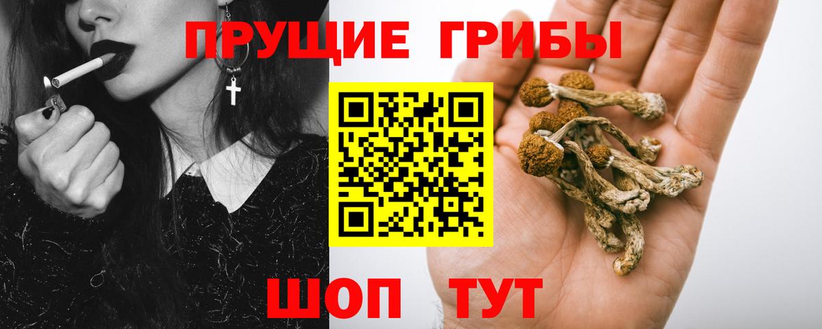Псилоцибиновые грибы прущие грибы  Вход с VPN  Мурманск 
